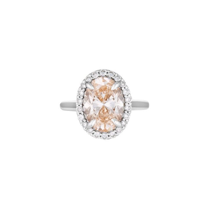 IRIS RING — Rose Gold / White Gold / Yellow Gold, Diamond / Sapphire