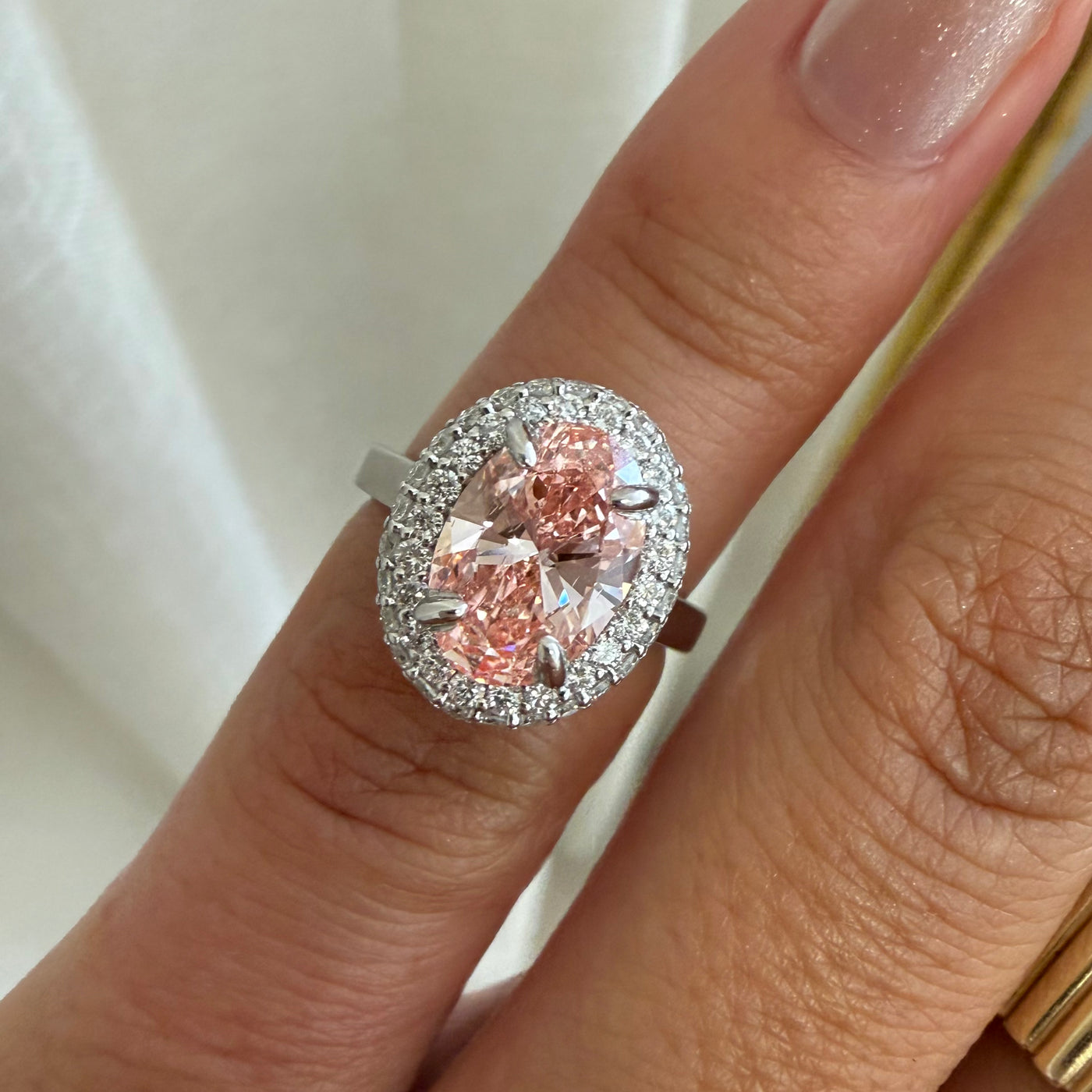 IRIS RING — Rose Gold / White Gold / Yellow Gold, Diamond / Sapphire