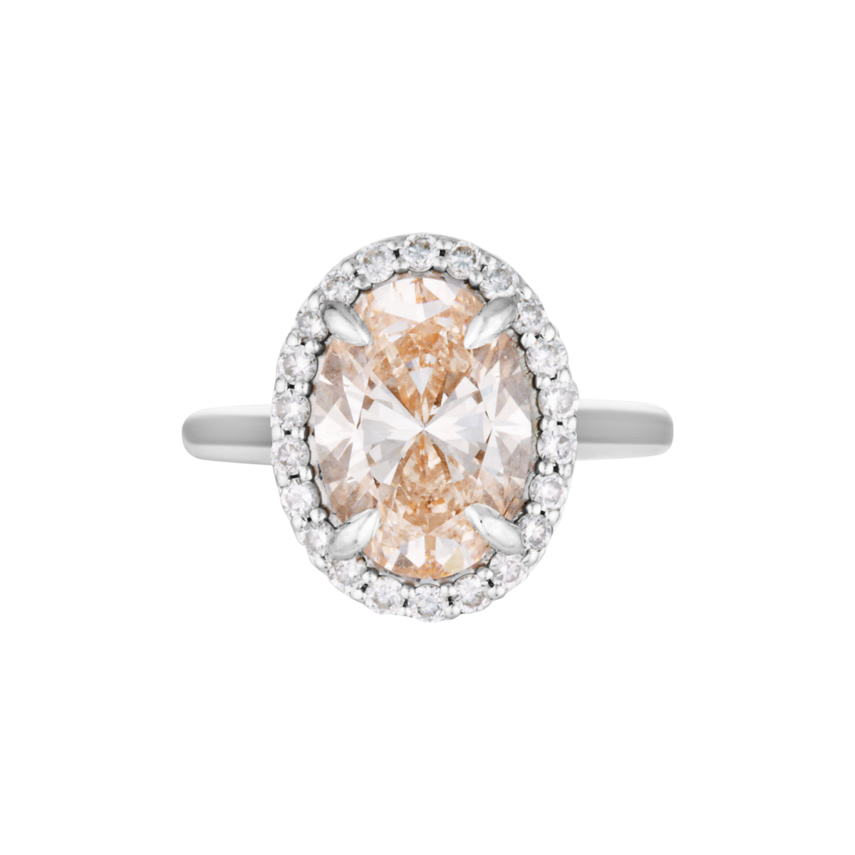 IRIS RING — Rose Gold / White Gold / Yellow Gold, Diamond / Sapphire