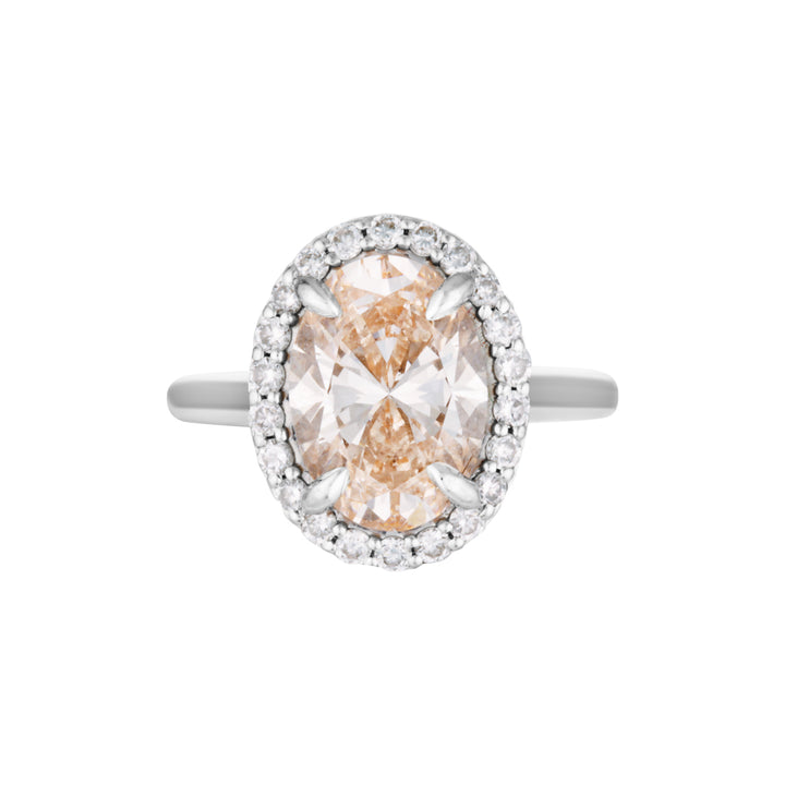 IRIS RING — Rose Gold / White Gold / Yellow Gold, Diamond / Sapphire