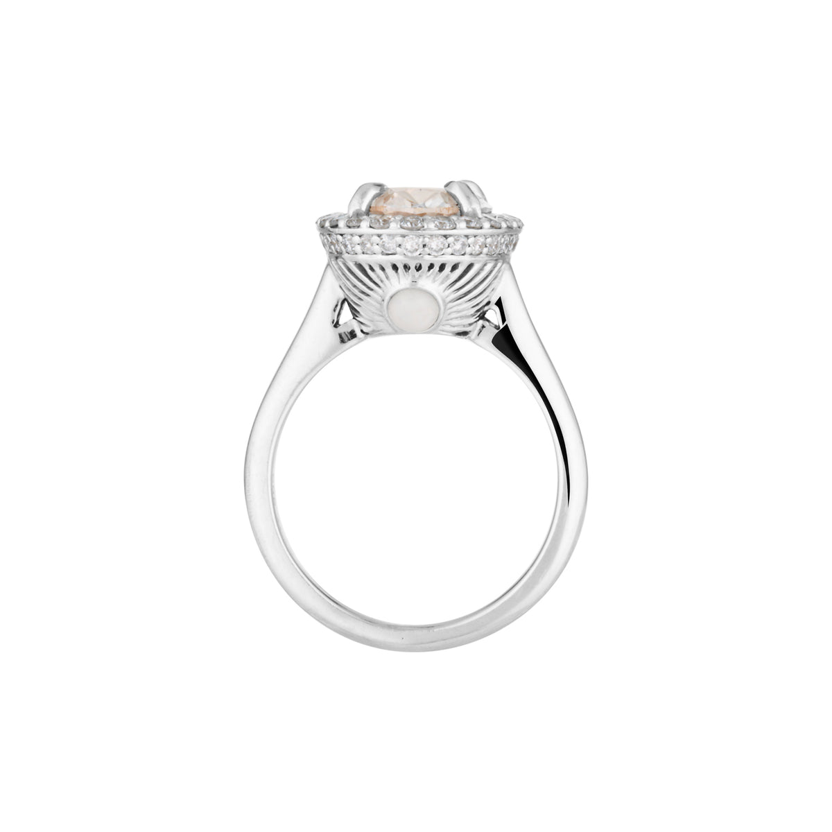 IRIS RING — Rose Gold / White Gold / Yellow Gold, Diamond / Sapphire