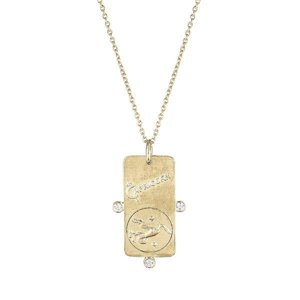 Capricorn zodiac sign necklace store